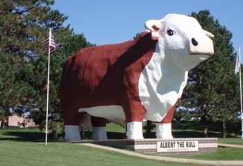 7644_AlbertheBull9-080023.jpg