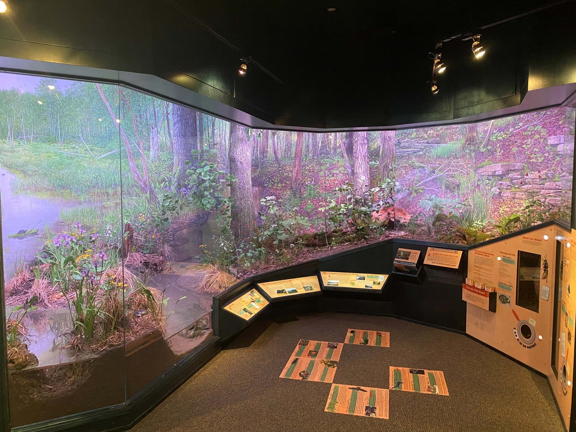 View inside the Nature Center