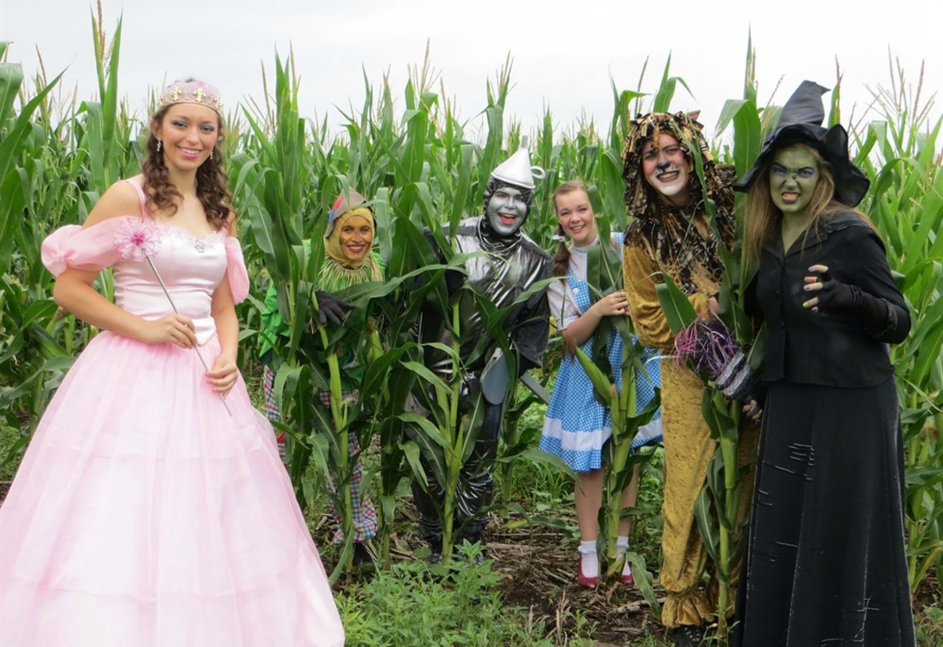 "Wizard of Oz."  2014 Production at Treasure Village  Family Theatre