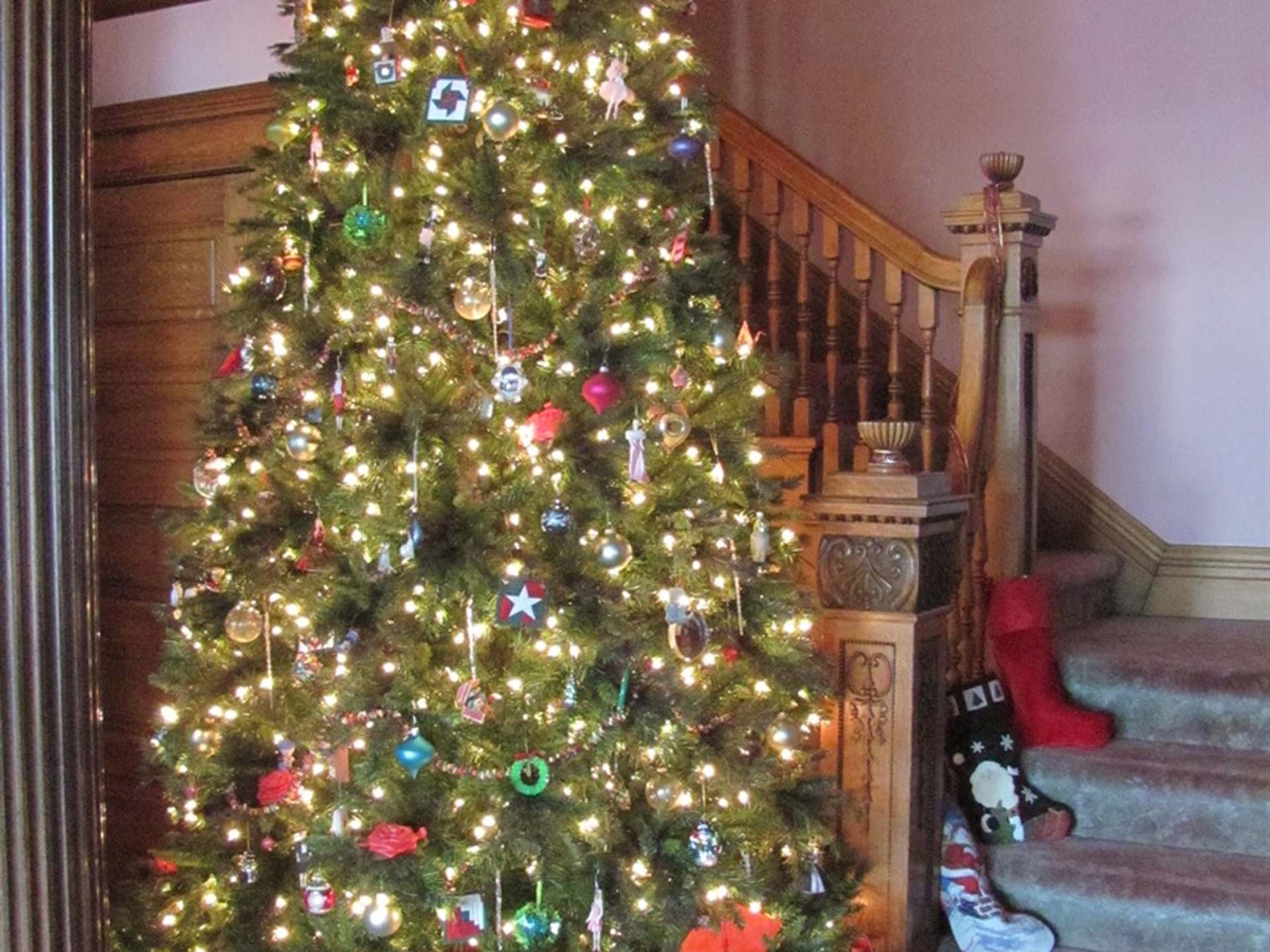Our Christmas Tree!