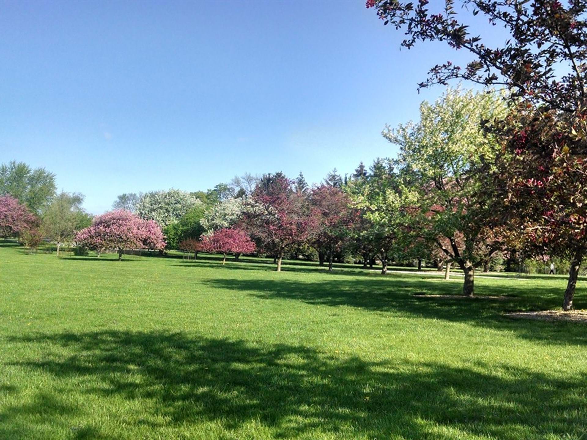 Arboretum at Morgan Creek Park