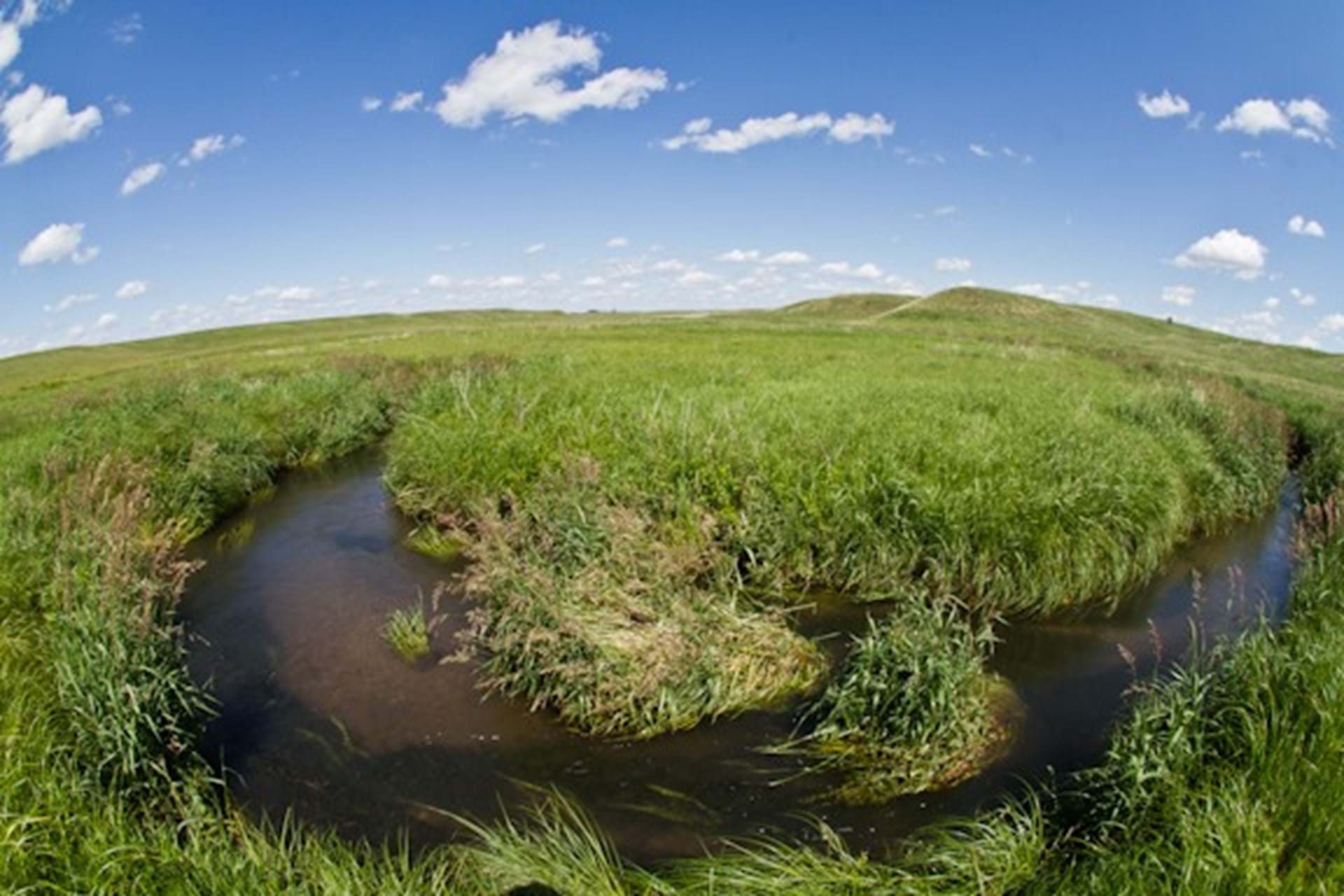 Prairie stream
