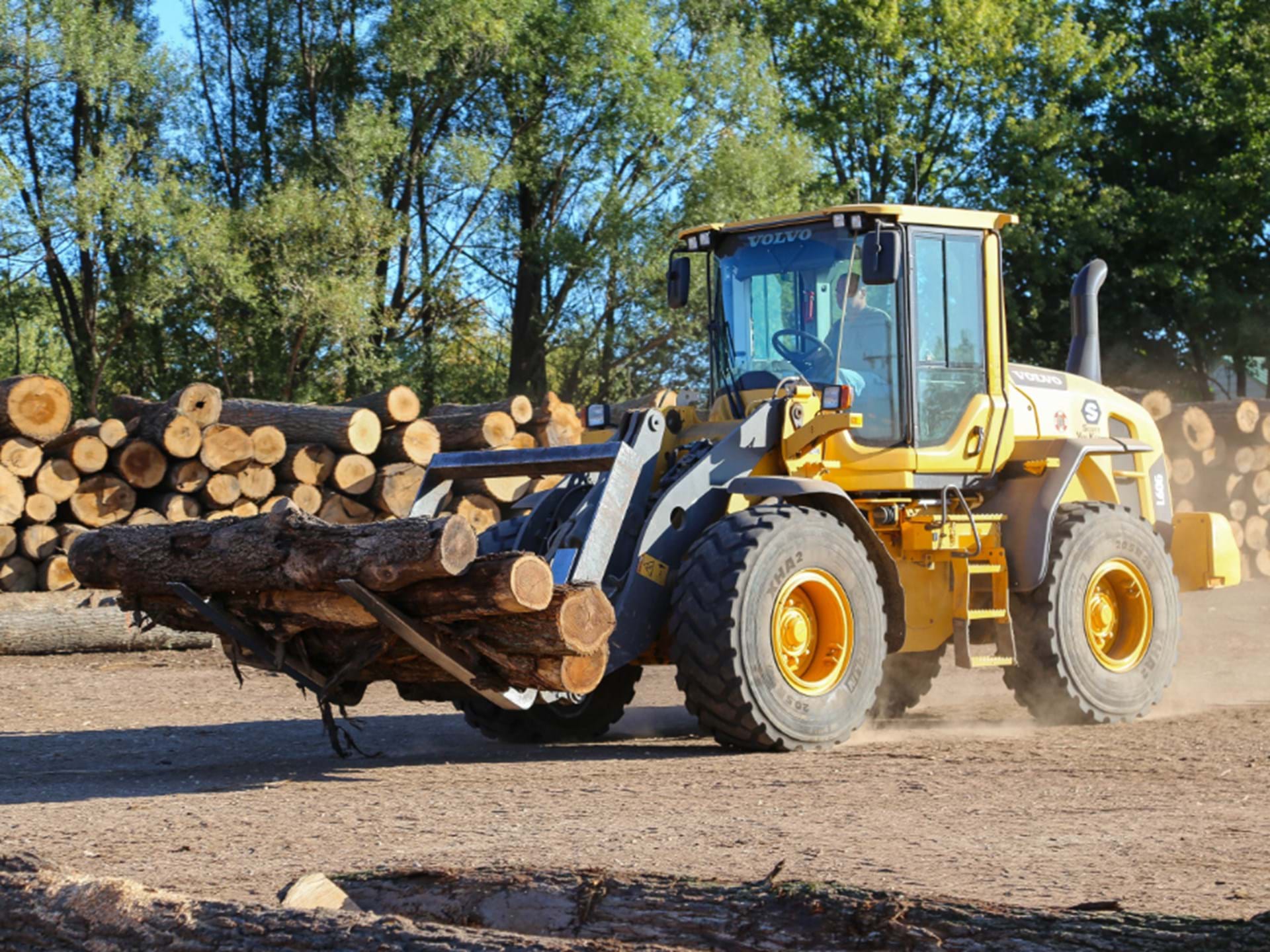 Sorting logs in the yard. - Kendrick Forest Products, a division of Kendrick, Inc.