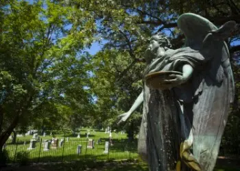 A weathered blue-brown angel statue holds a platter and stands among green trees.