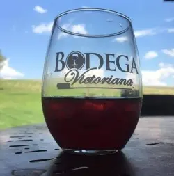 A glass of red wine sits on a table with green hills and a blue sky in the background.