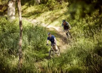 Two white men mountain biking a dirt trail through a grassy forest.