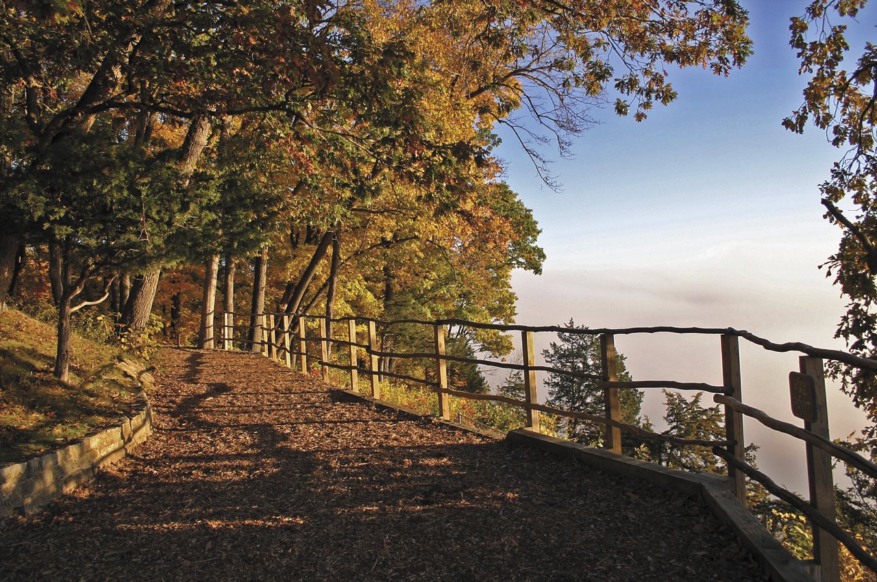 A woodchip trail rounds a bend overlooking a fenced-off cliff. 