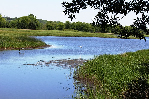 Nahant Marsh Education Center, Davenport, Iowa