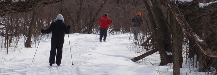 Three cross-country skiers trek through a wooded route. 