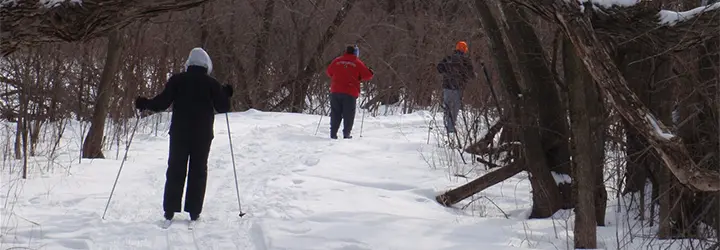 Three cross-country skiers trek through a wooded route.