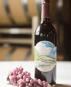 A bottle of wine stands beside a cluster of grapes with a blurred background. 