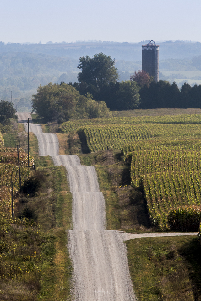 Roller Coaster Road in Alamakee County