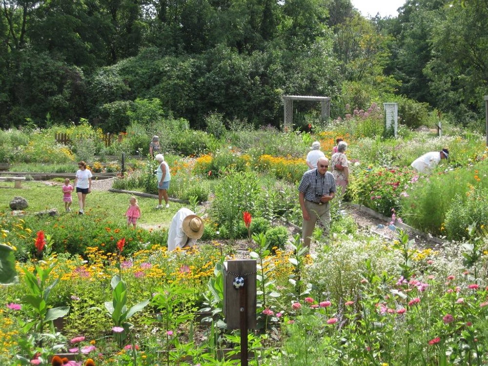 Arboretums & Botanical Gardens: Bellevue Butterfly Garden, Bellevue Iowa