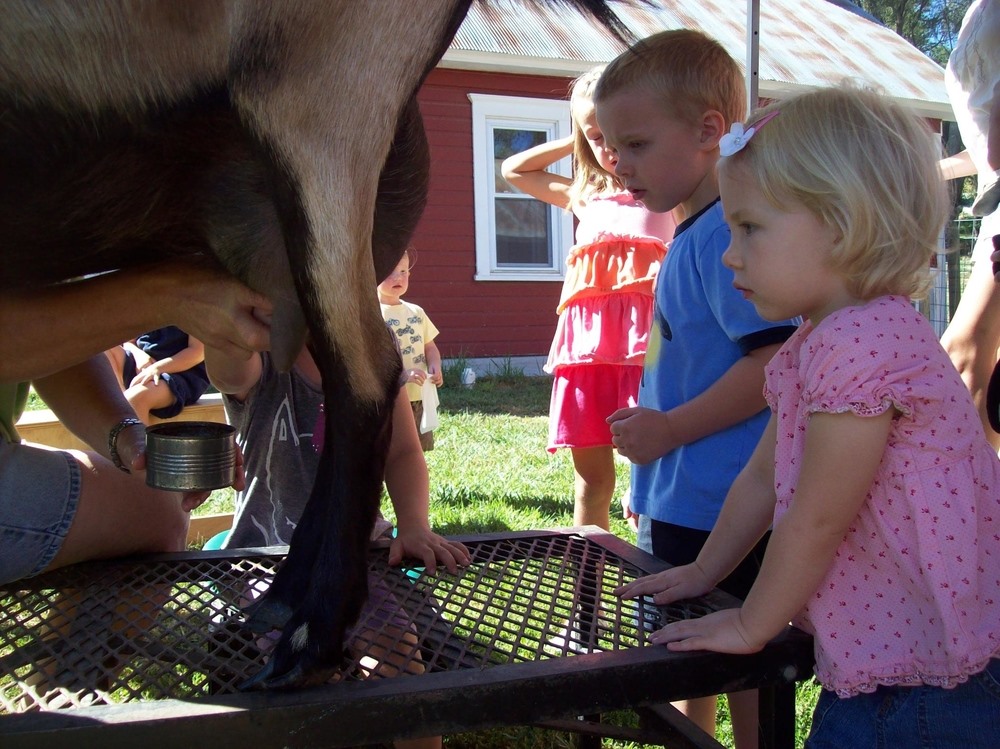 Iowa Cheese Producers: Honey Creek Creamery