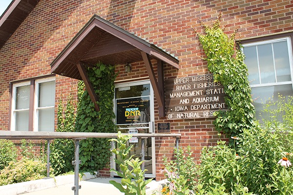 Iowa DNR Fish Hatchery and Aquarium, Guttenberg, Iowa