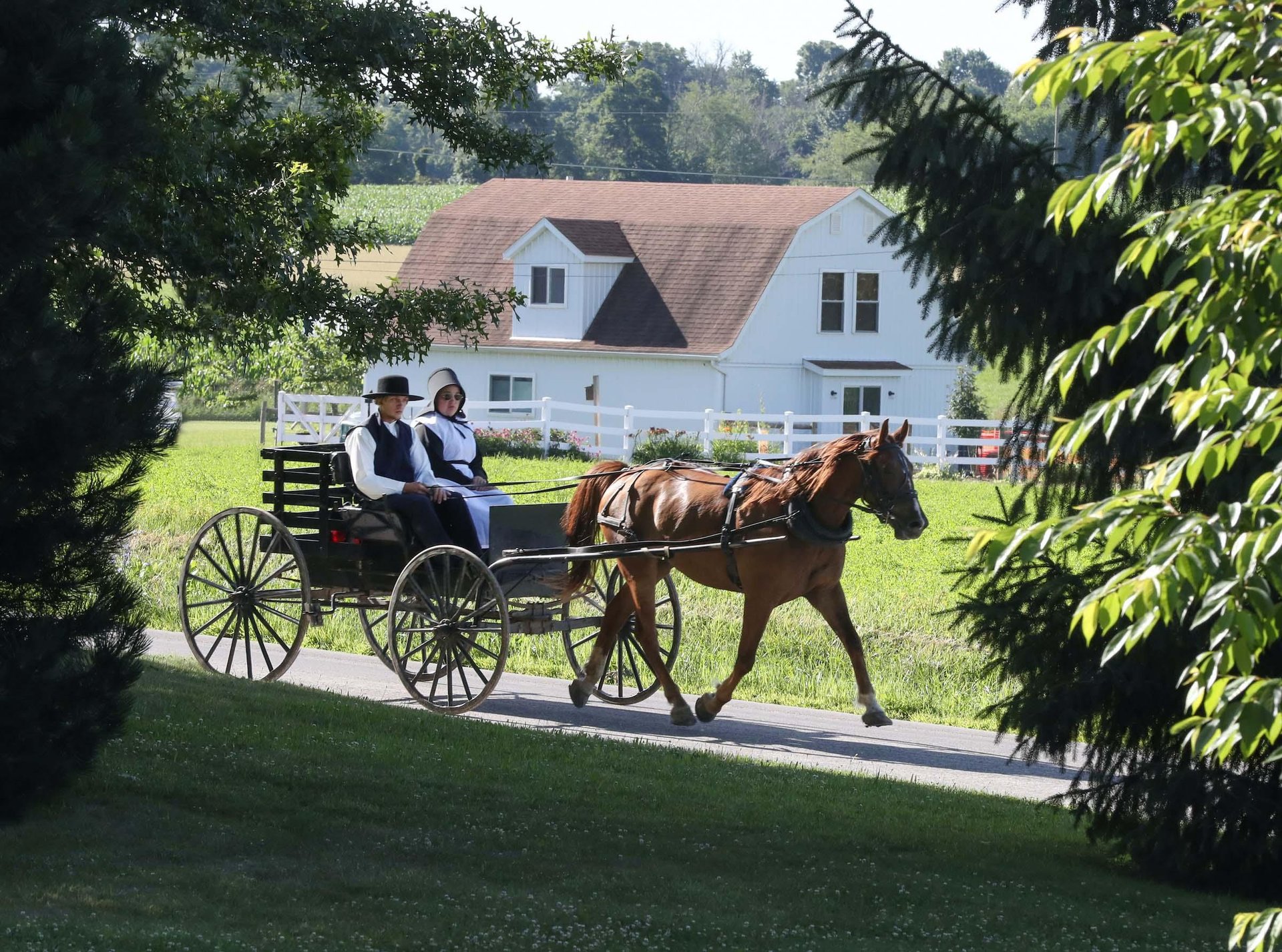Amish horse and buggy in Davis County