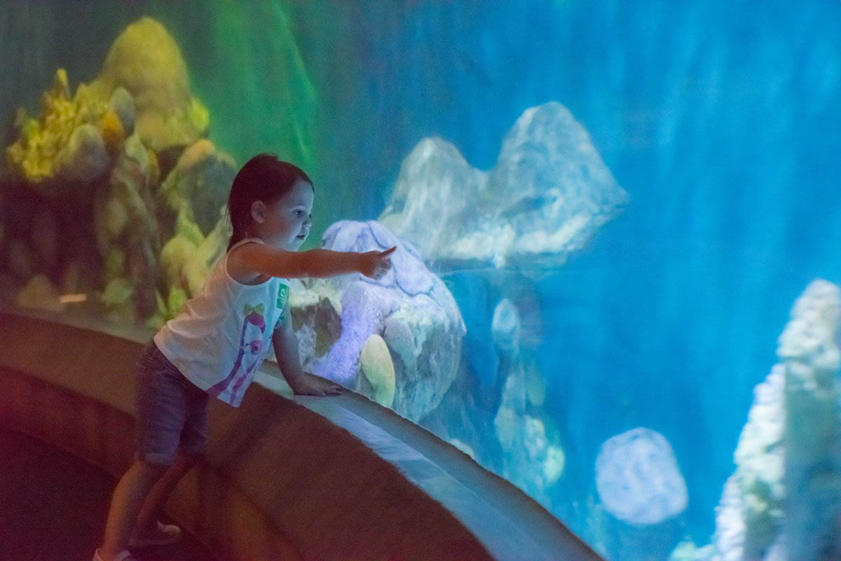 National Mississippi River Museum, Dubuque, Iowa