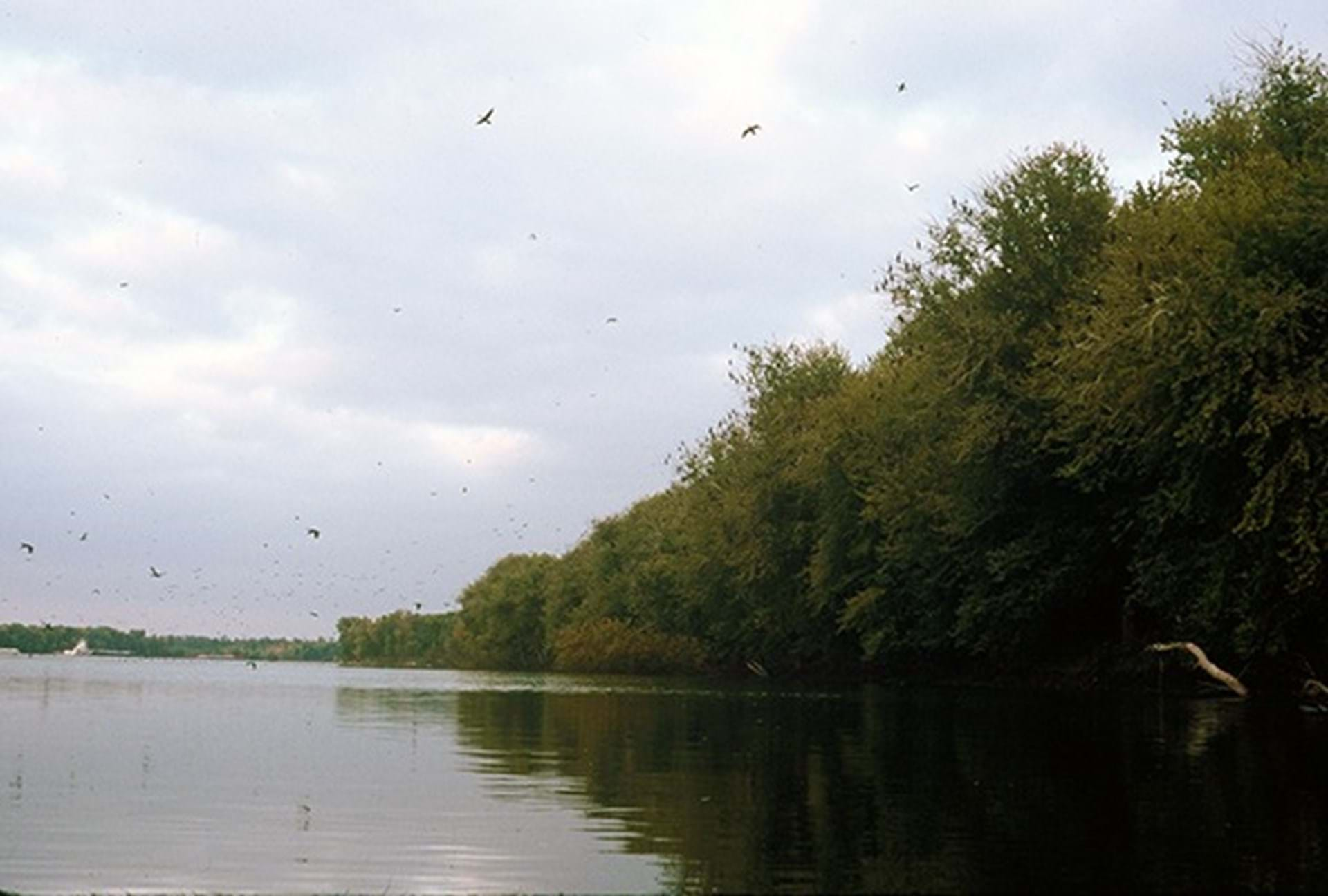 Iowa River Water Trail