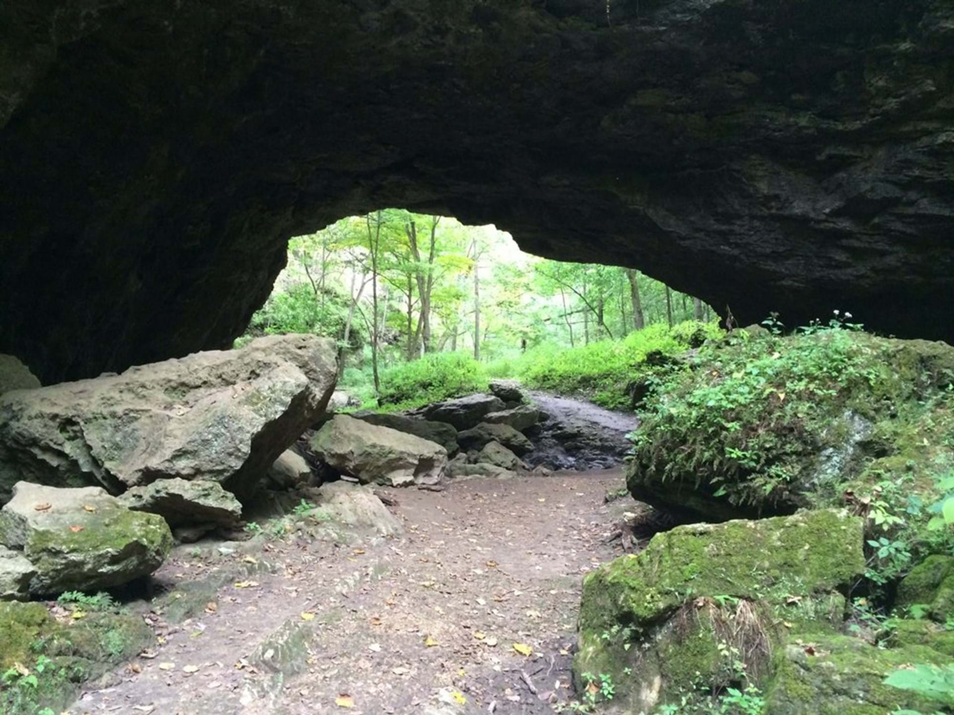 Maquoketa Caves
