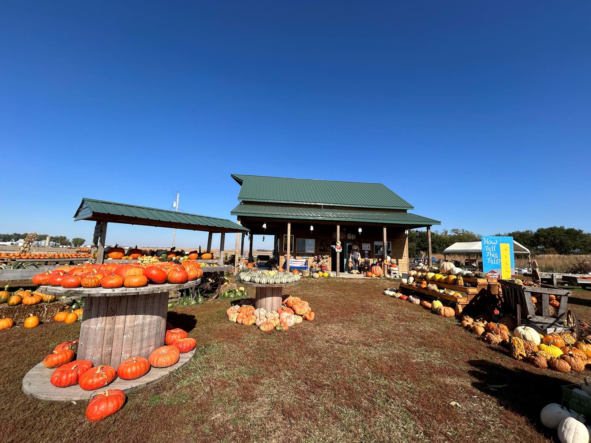 Hoefling’s Pumpkin Patch & Corn Maze