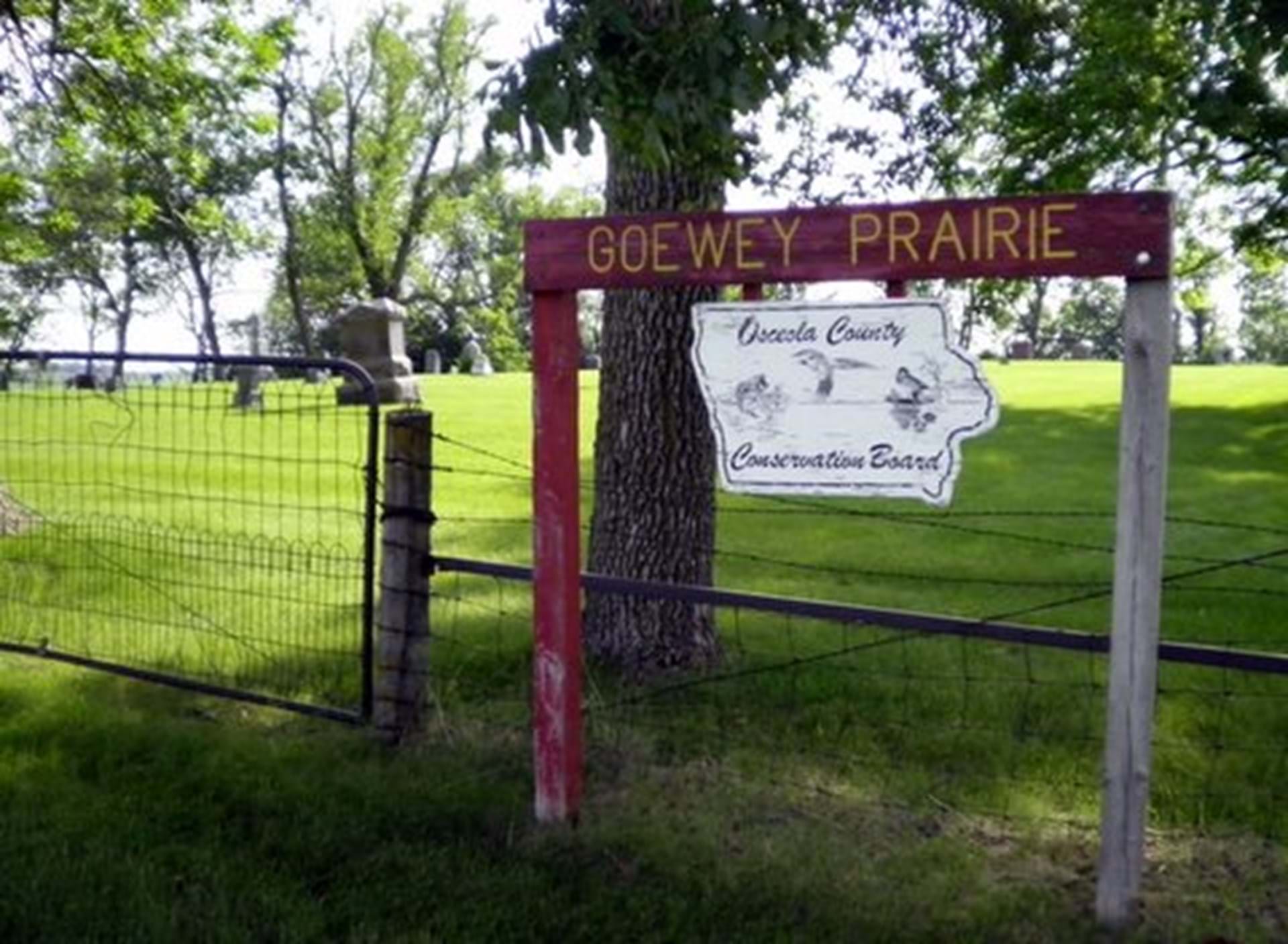 Goewey Township Cemetery Prairie Preserve