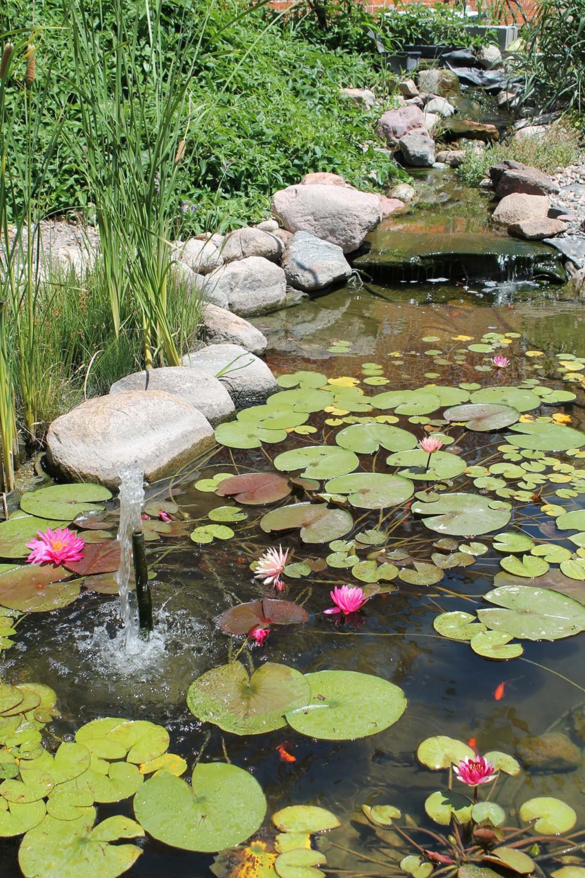 Malvern Downtown Garden