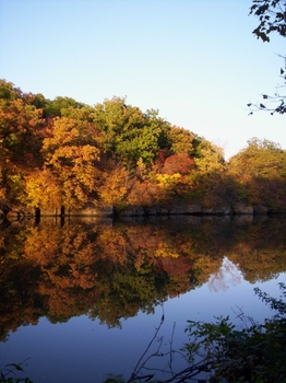 Iowa Falls, Iowa | Lakes and Land Region