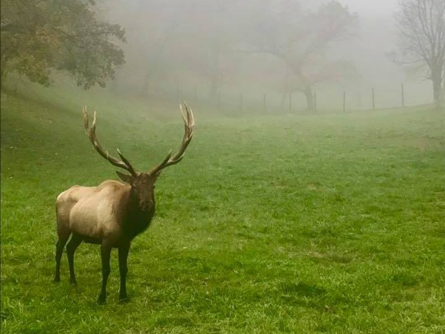 Lake Miami Park Lovilia Iowa Travel Iowa Thisisiowa