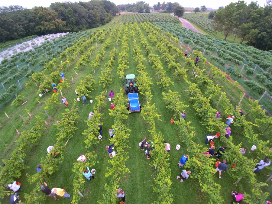 Wine Tastings Tours Des Moines Wine Tastings Tours Des Moines