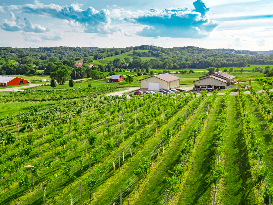 Madison County Winery St. Charles, Iowa Travel Iowa ThisIsIowa