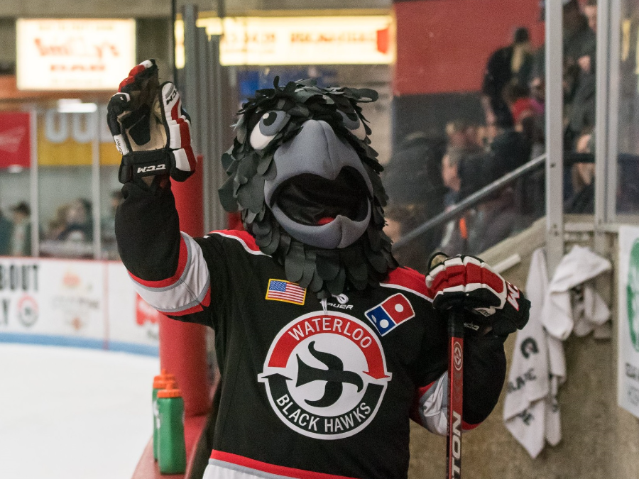 Waterloo Black Hawks Hockey Waterloo, Iowa Travel Iowa
