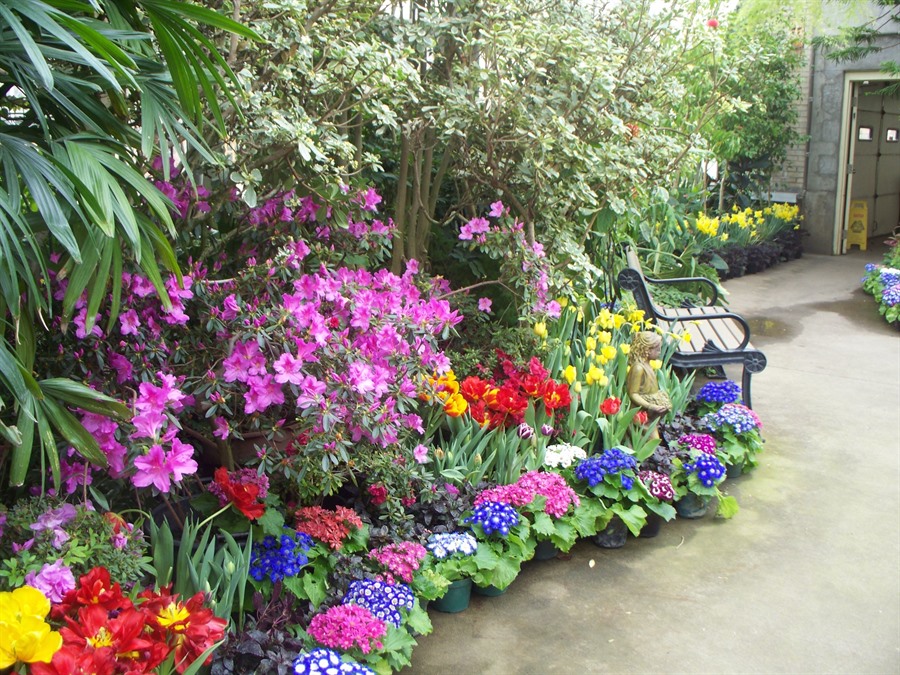 Vander Veer Botanical Park And Conservatory Davenport Iowa