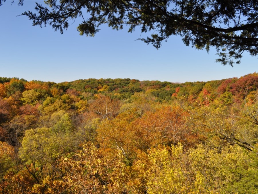 Starr S Cave Park And Preserve Burlington Iowa Travel Iowa