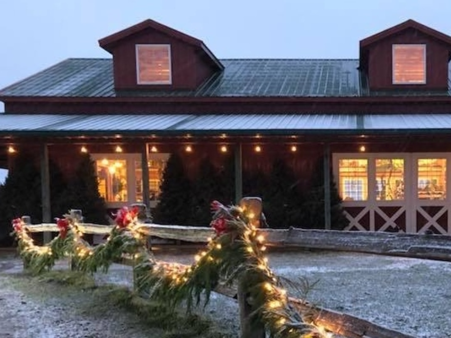 Wilson Lake Cabins Donnellson Iowa Cabin Photos Collections