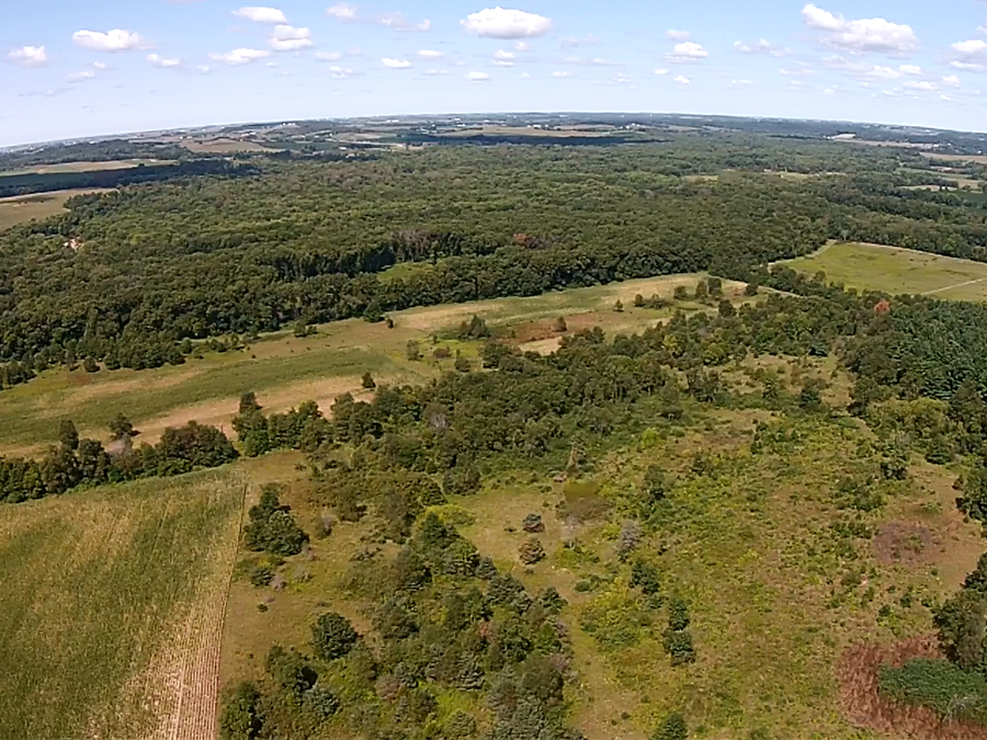 Matsell Bridge Natural Area Central City Iowa Travel Iowa