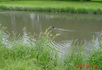 Riverview Park Campground Marshalltown  Iowa Travel Iowa