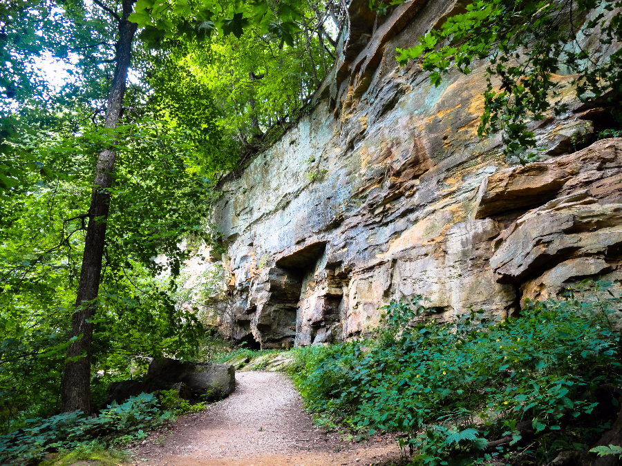 Wildcat Den State Park Trail Map Wildcat Den State Park - Muscatine, Iowa | Travel Iowa | #Thisisiowa