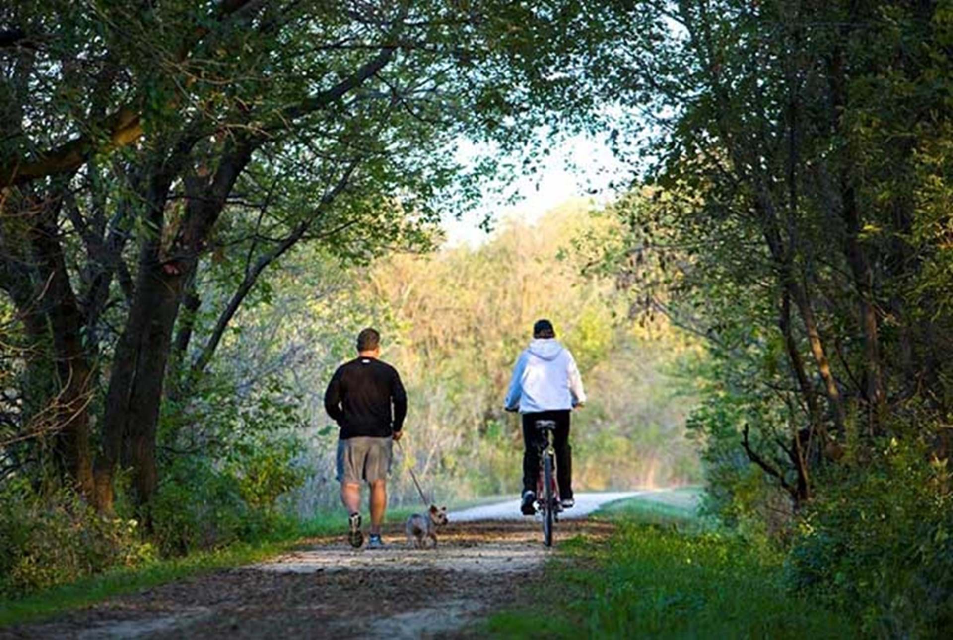 Trail Tips