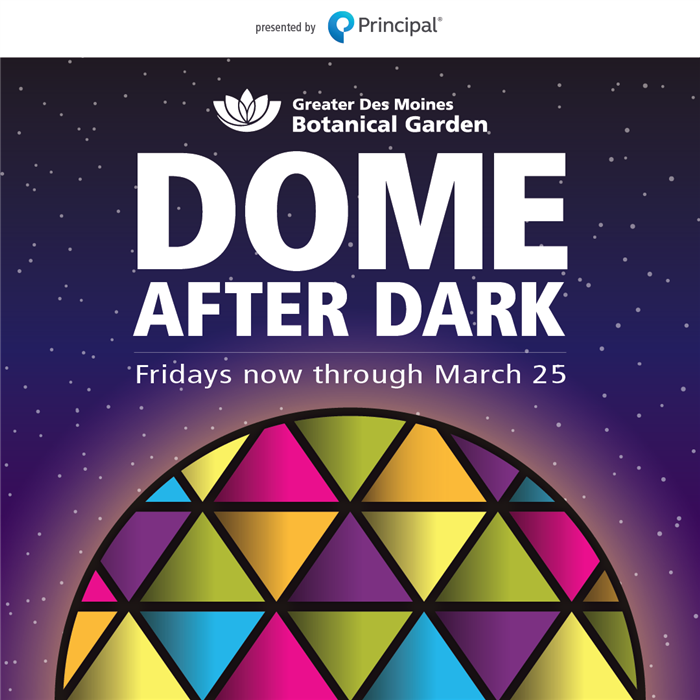Dome After Dark