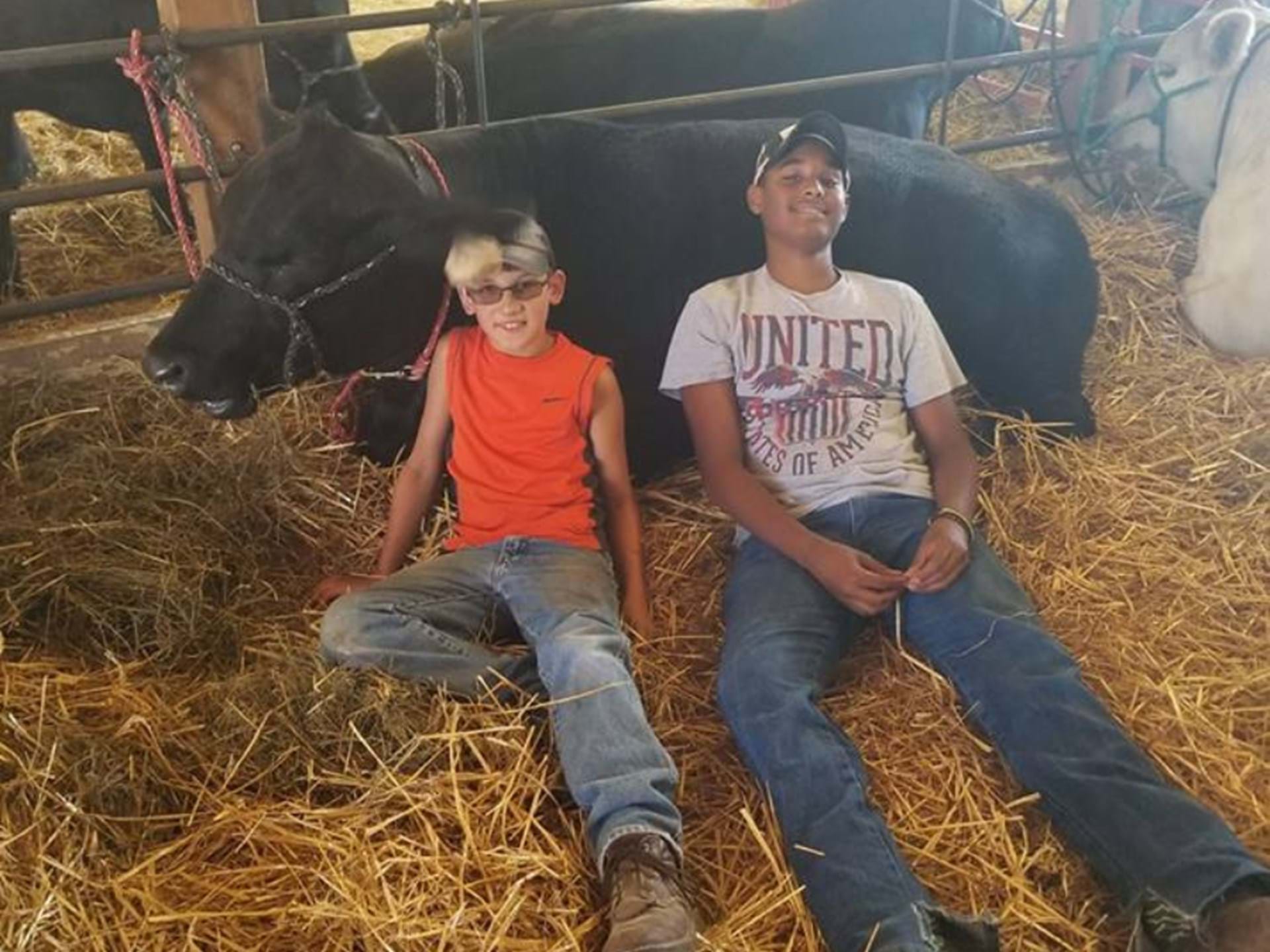 Van Buren County Fair Keosauqua, Iowa Travel Iowa