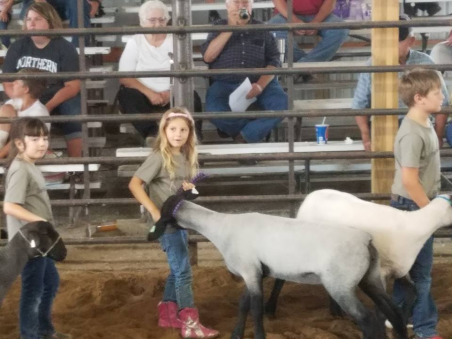 Van Buren County Fair Keosauqua, Iowa Travel Iowa