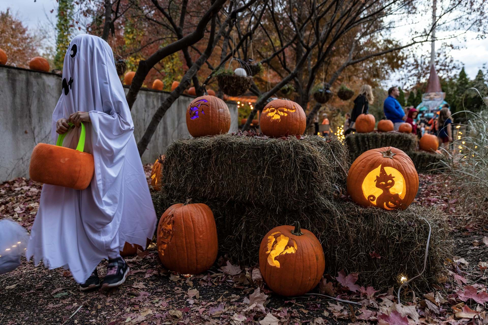 Enjoy two October weekends at Reiman Gardens' Spirits in the Gardens event