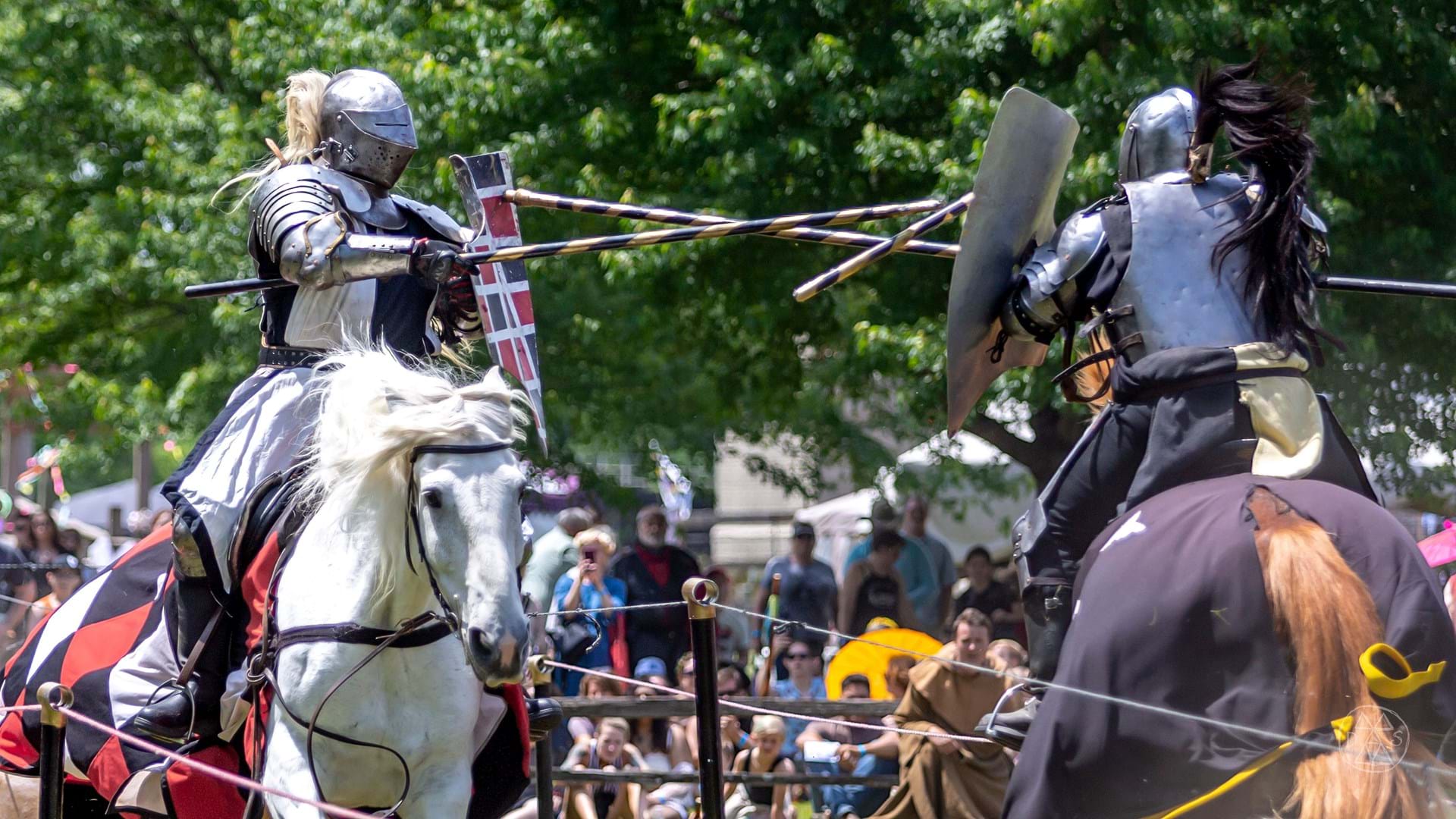 Jousting at the Renaissance Faire