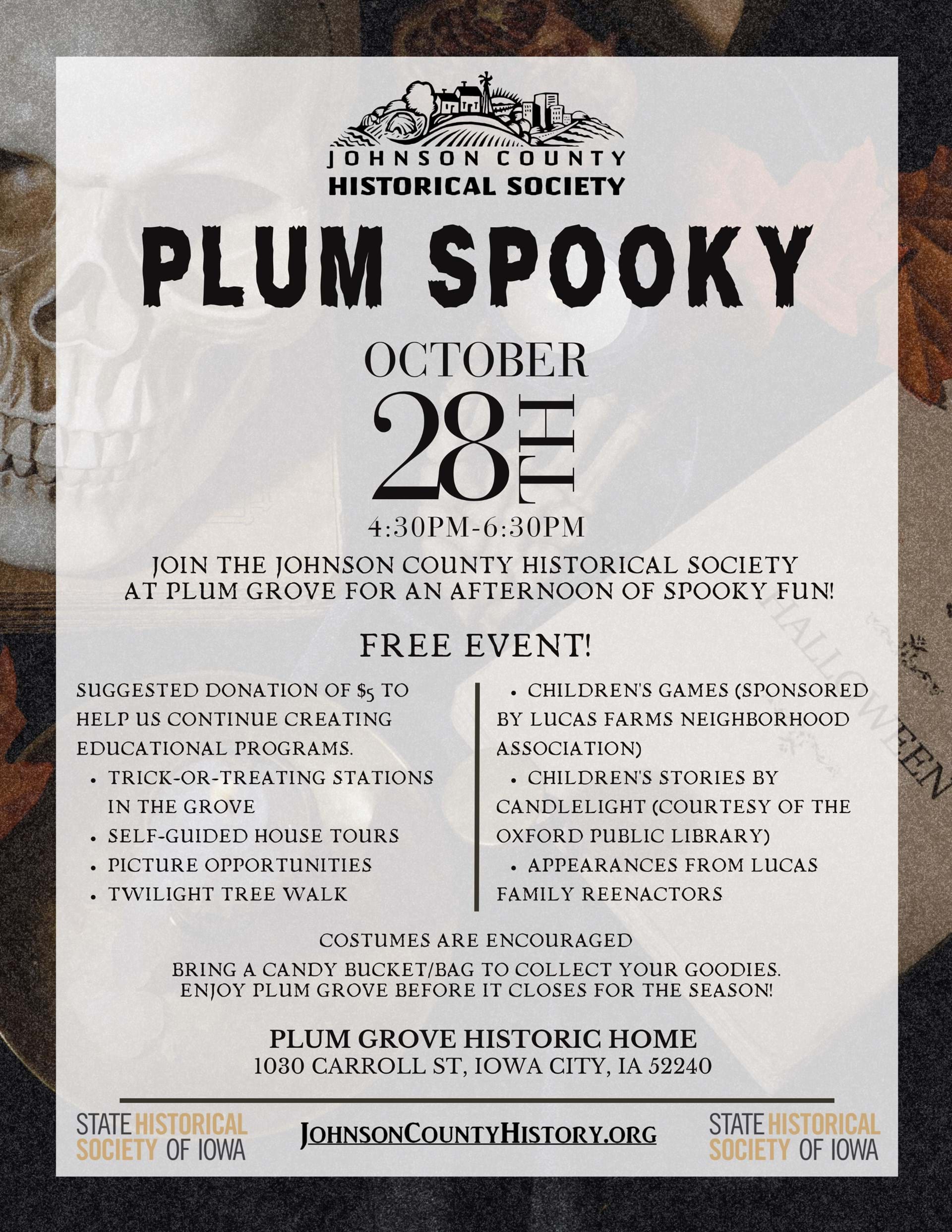 Plum Spooky Flyer