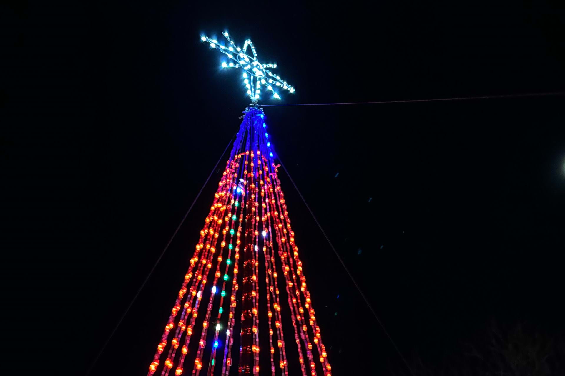 You'll find the 25-foot show tree at the corner of SW 3rd and SW Cherry 