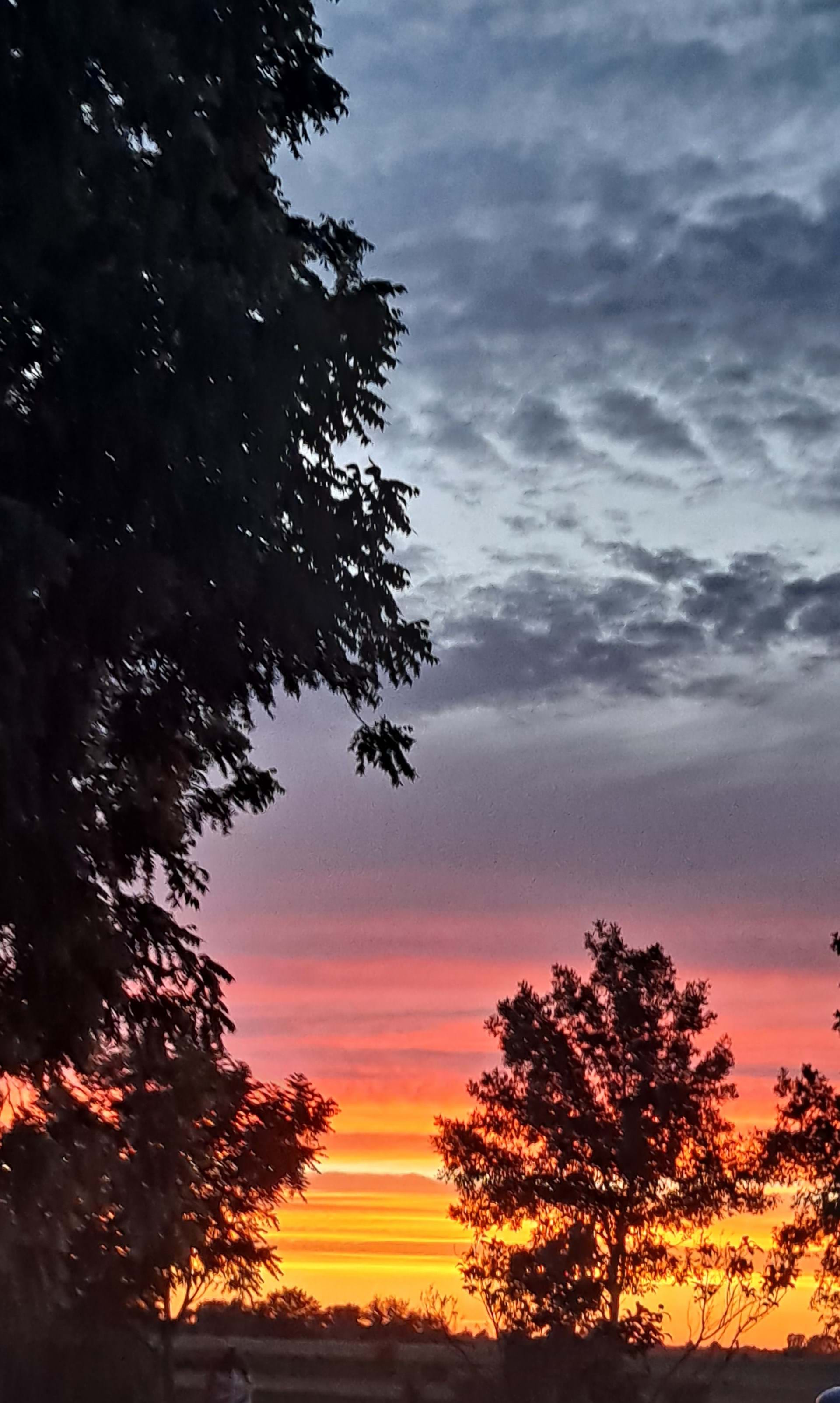 Check out the beauty