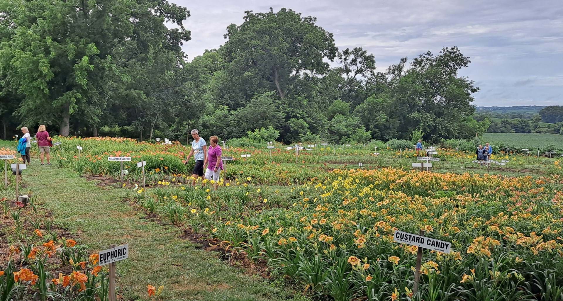 Stroll the Garden Paths