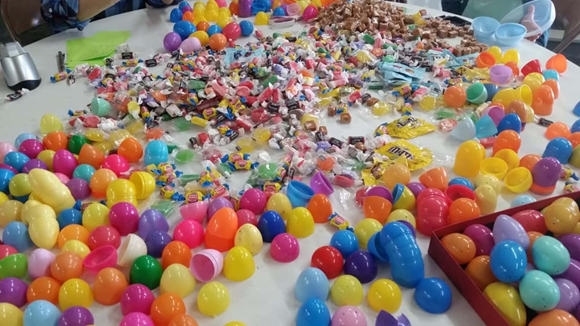 Egg Hunt
