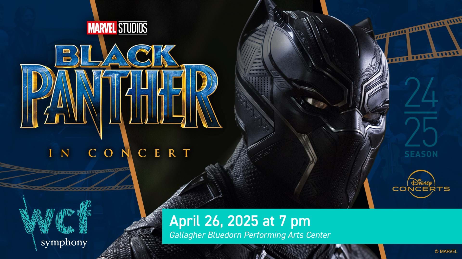 Black Panther In Concert