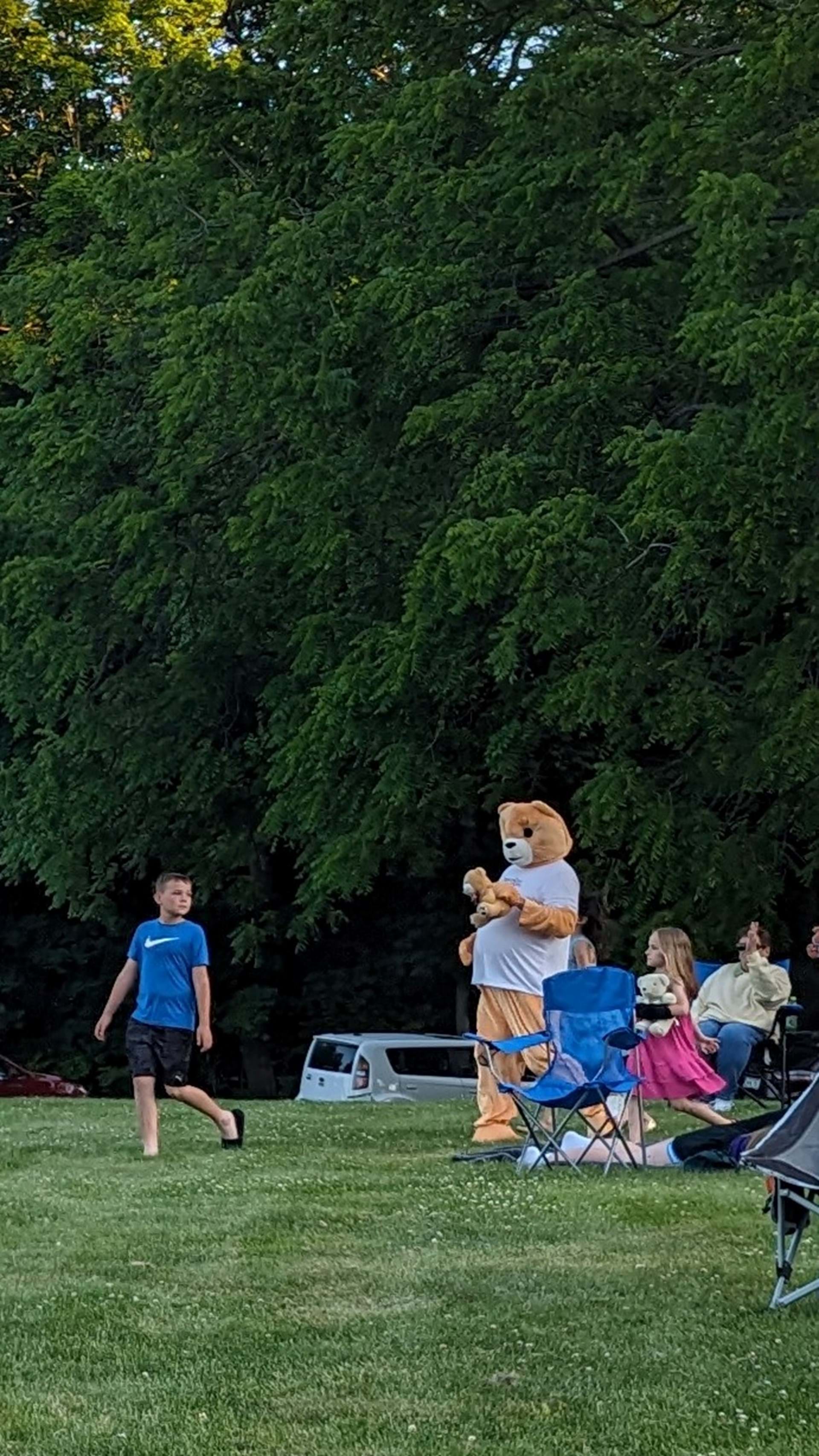 Teddy Bear Picnic 